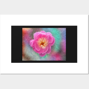 Chinese peony with texture Posters and Art